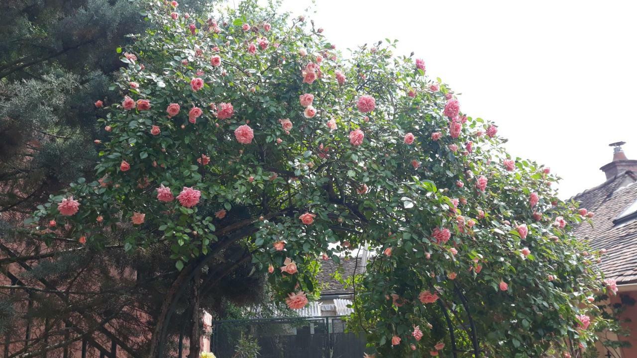 ホテル La Maison Rose: Lieu Atypique ヌムール エクステリア 写真
